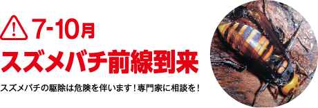 7-10月 スズメバチ前線到来 スズメバチを見つけたらご相談ください。