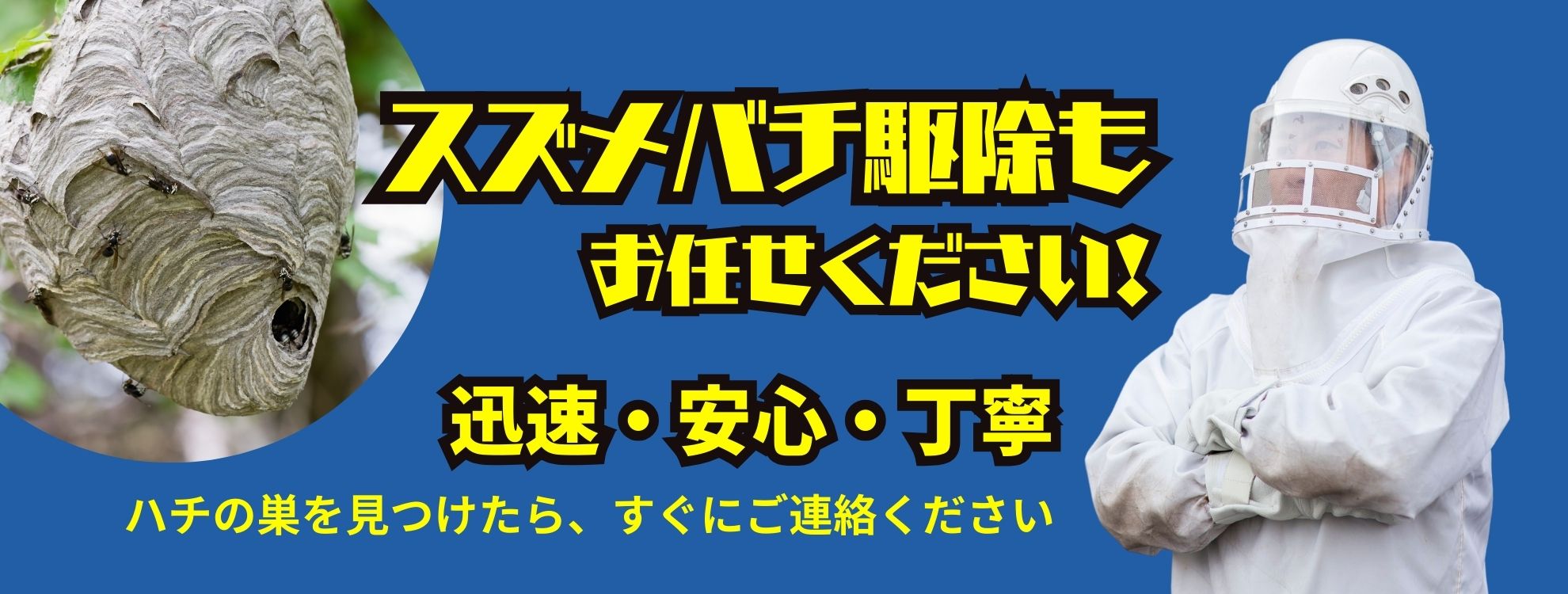 スズメバチ駆除もお任せください