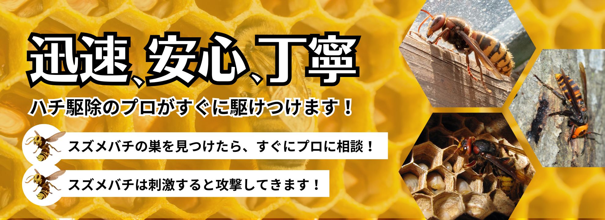 ハチ駆除のプロがすぐに駆けつけます!