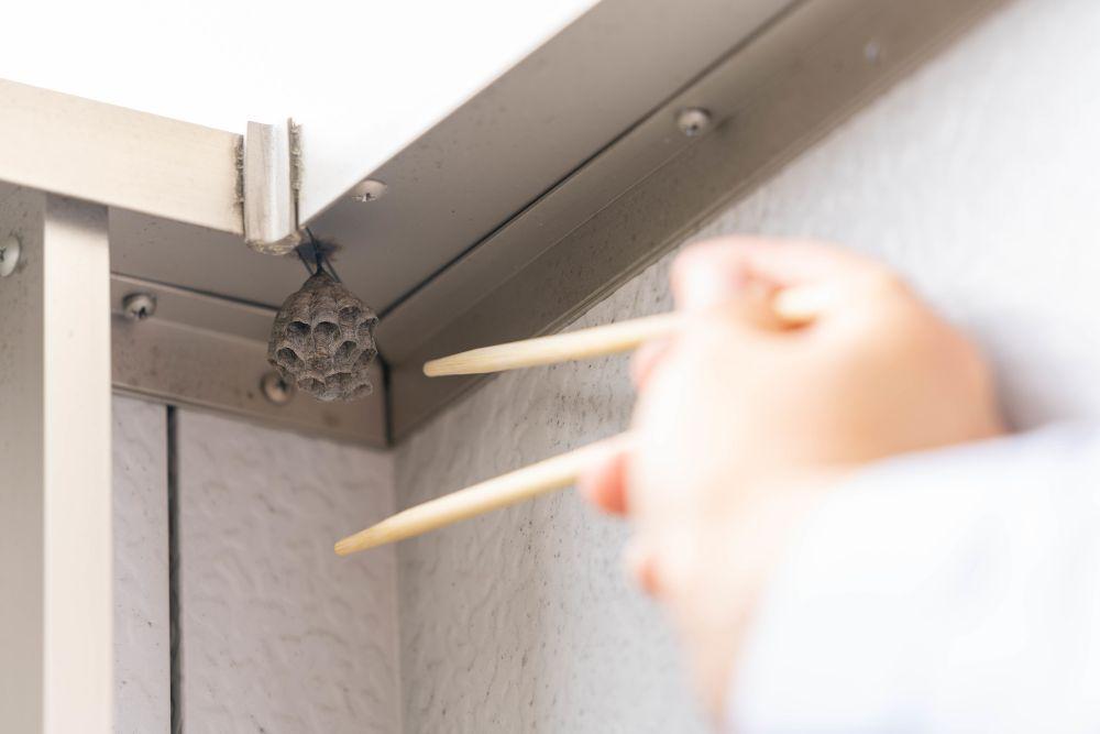 ハチの巣を箸でとろうとする手元