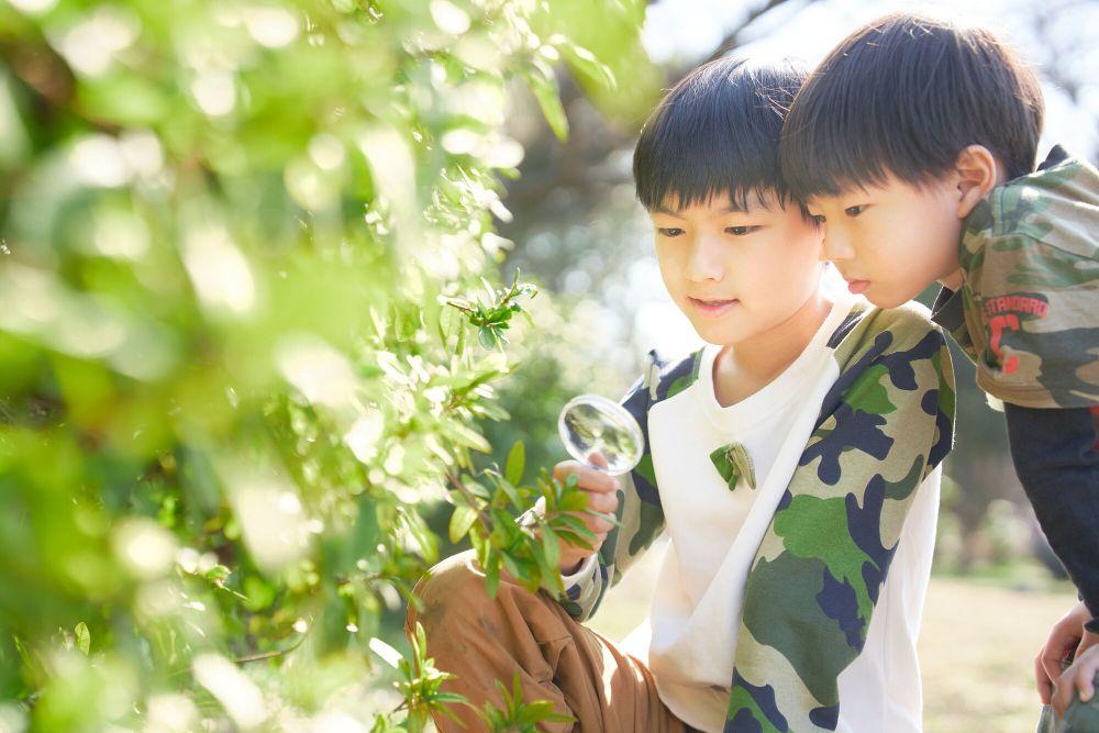 虫眼鏡で虫を見る少年たち