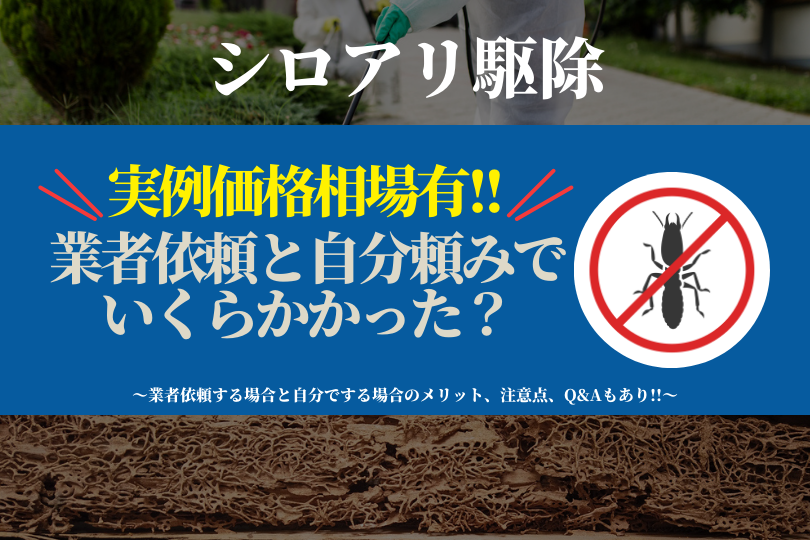 【実例価格有】シロアリ駆除を業者依頼と自分頼みでいくらかかった？