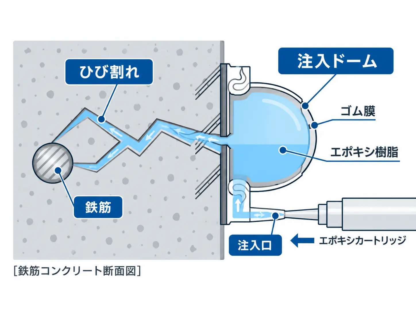 注入ドーム工法による基礎クラック補修の施工イメージ